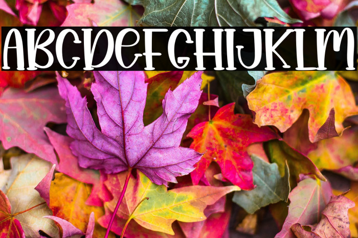 Snack Crispy Example 3