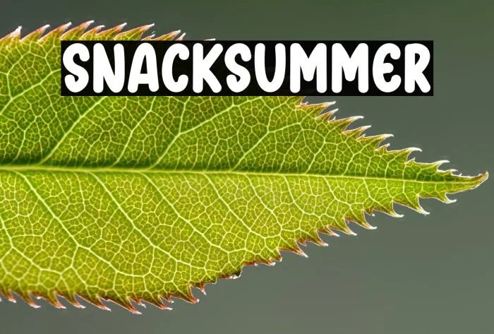 Snack Summer Example 1