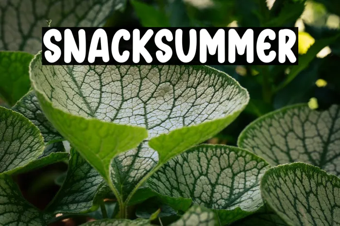 Snack Summer Example 3