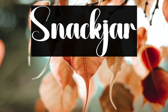 Snackjar Example 3