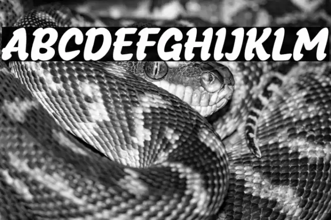 SnackoTrial-Regular Font examples