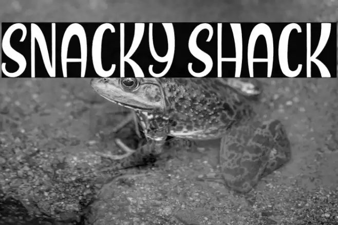 Snacky Shack フォント examples