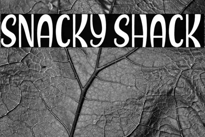 Snacky Shack フォント examples