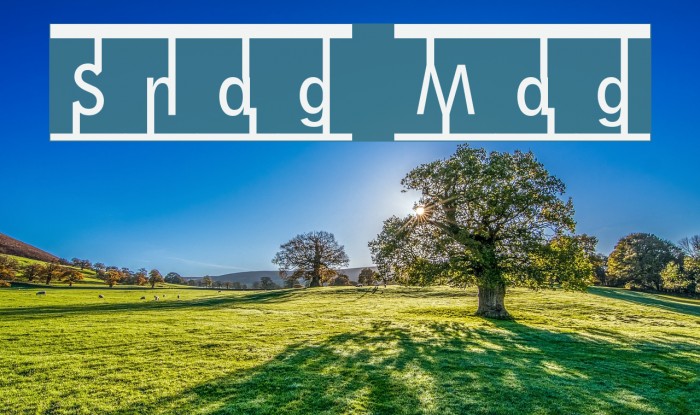 Snag Mag Font examples