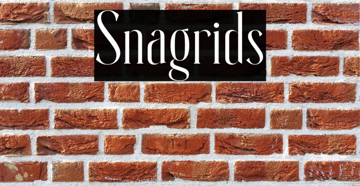 Snagrids Example 1