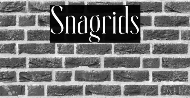 Snagrids Font examples