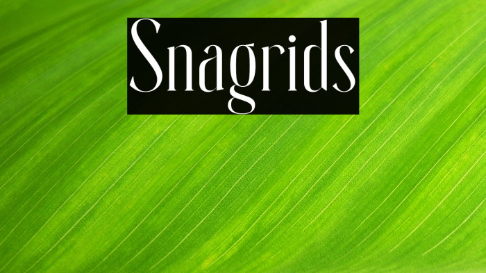 Snagrids Example 2