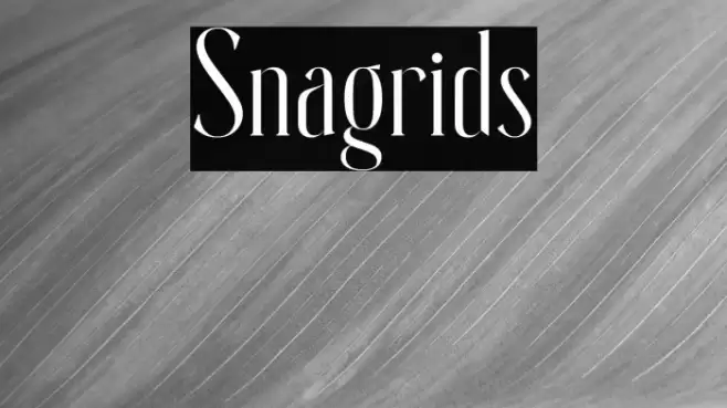 Snagrids Font examples