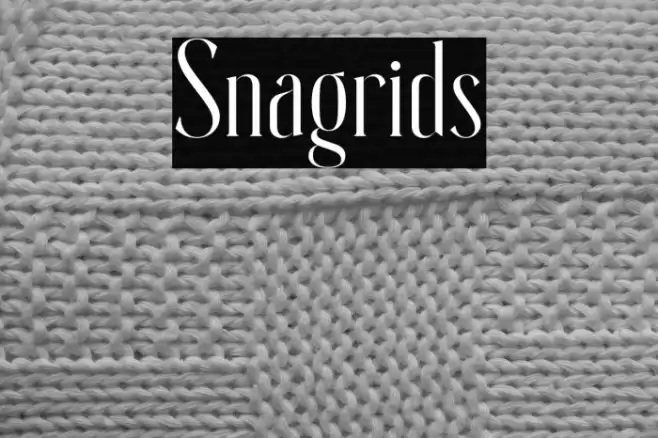 Snagrids Font examples