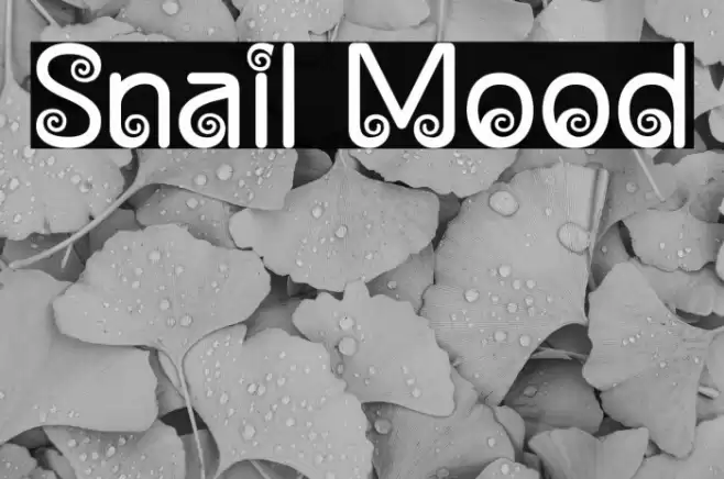 Snail Mood Font examples