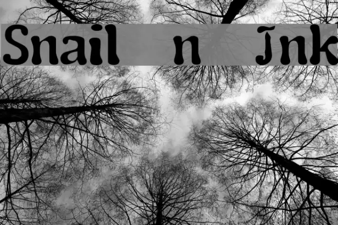 Snail n Ink Font examples