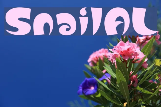 SnailAL Example 3