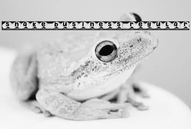 Snake Business Regular Font examples