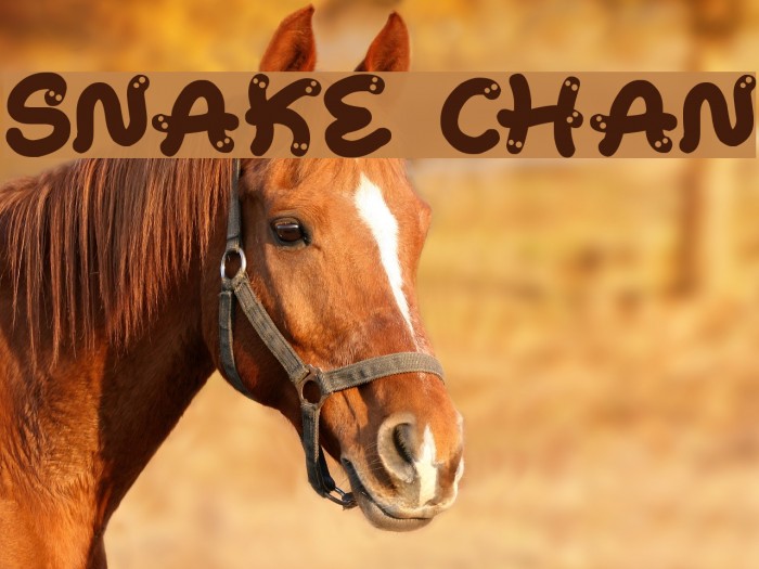 Snake Chan Font examples