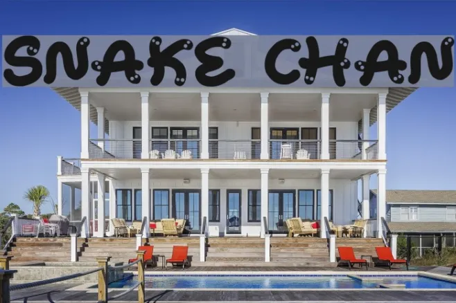 Snake Chan Example 2