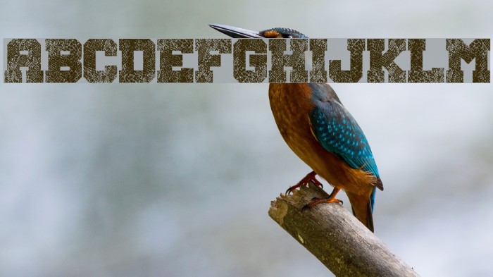 Snake Jacket Example 1