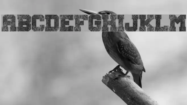 Snake Jacket Font examples