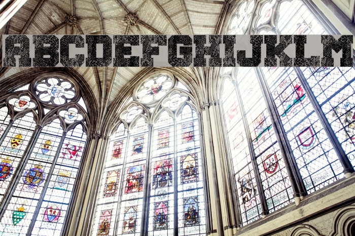 Snake Jacket Example 3