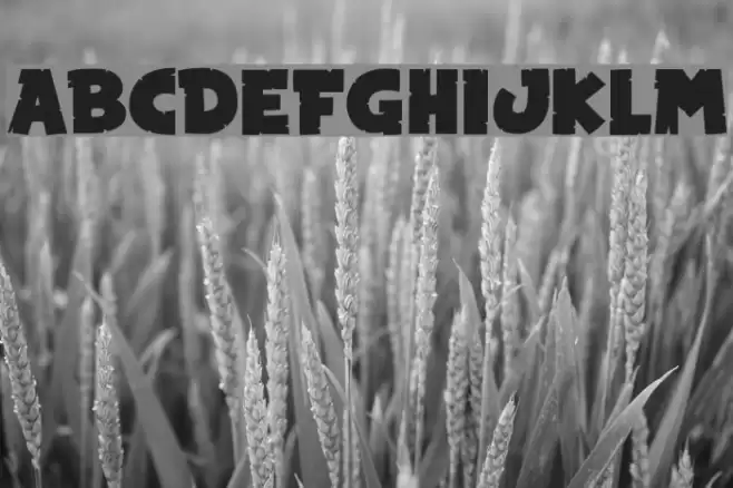 Snake in the Boot Font examples