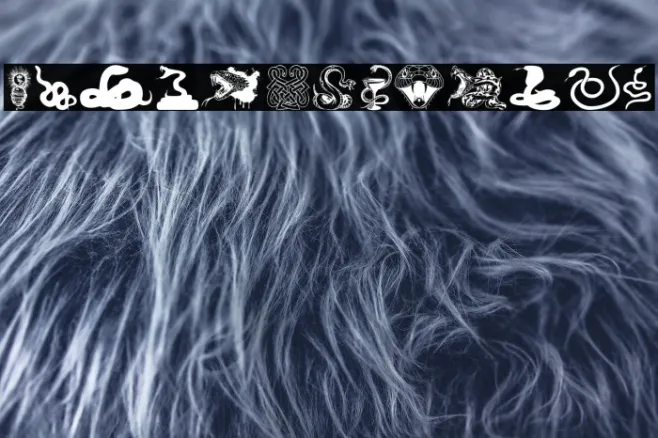 Snake mix Example 1