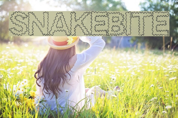 SnakeBite Font examples