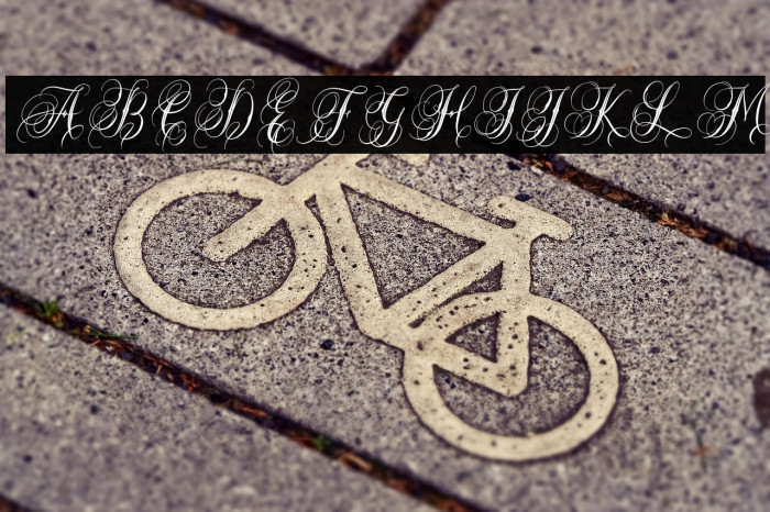 SnakeFangsFREE Example 3