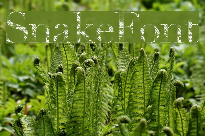 Snake Font examples
