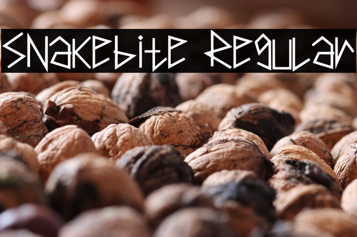 Snakebite Regular Example 1