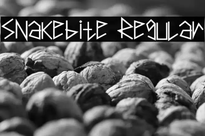 Snakebite Regular Font examples