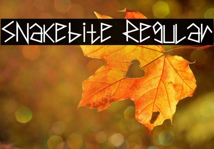 Snakebite Regular Example 2