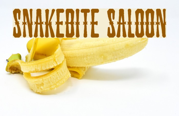 Snakebite Saloon Font examples