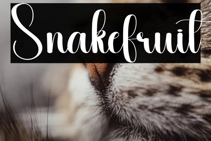 Snakefruit Example 3