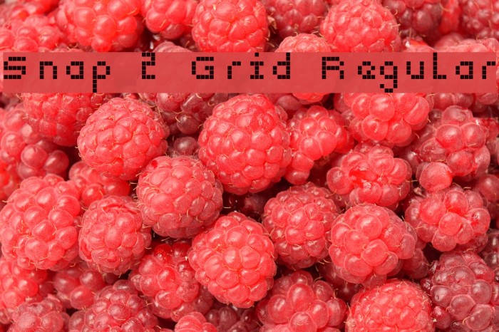 Snap 2 Grid Regular Font examples