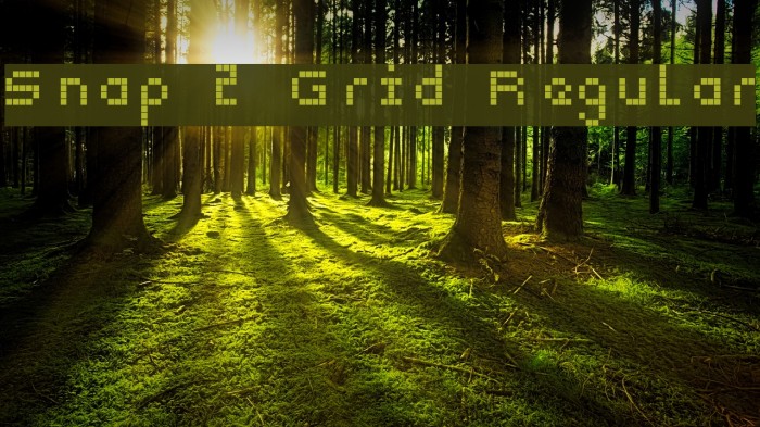 Snap 2 Grid Regular Font examples