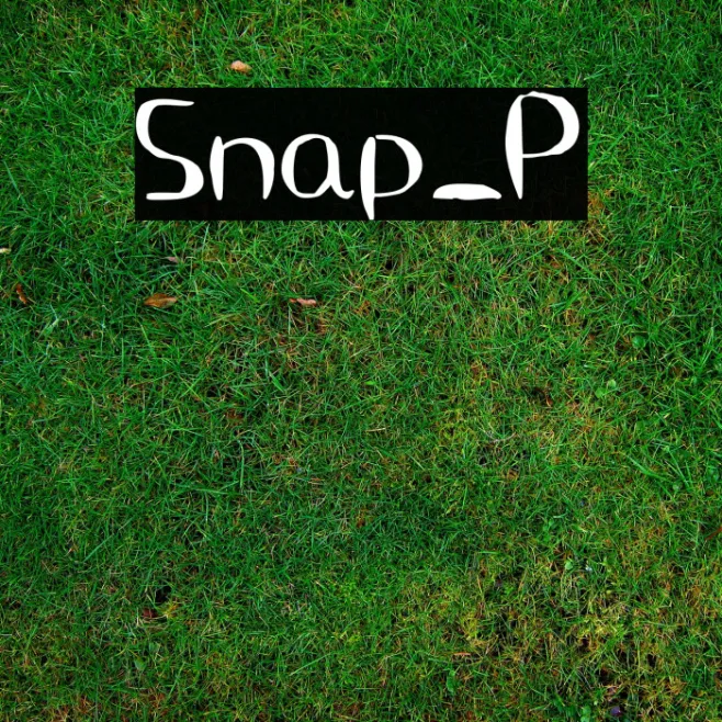 Snap_P Example 1