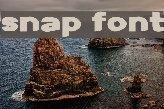 Snap Font examples