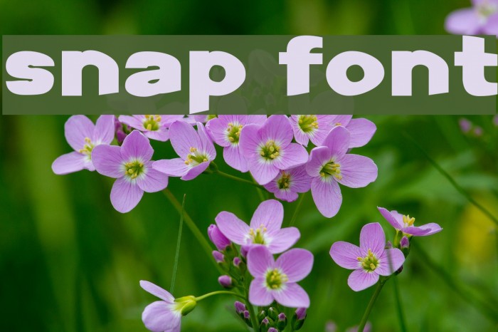 Snap Font examples