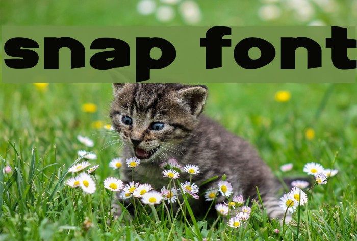 Snap Font examples