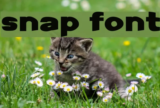 Snap Example 3