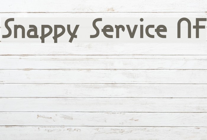 Snappy Service NF Font examples