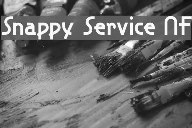 Snappy Service NF フォント examples