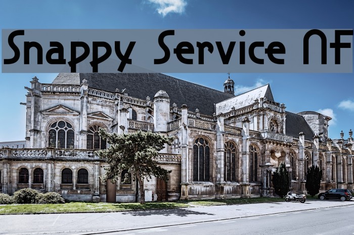 Snappy Service NF Font examples