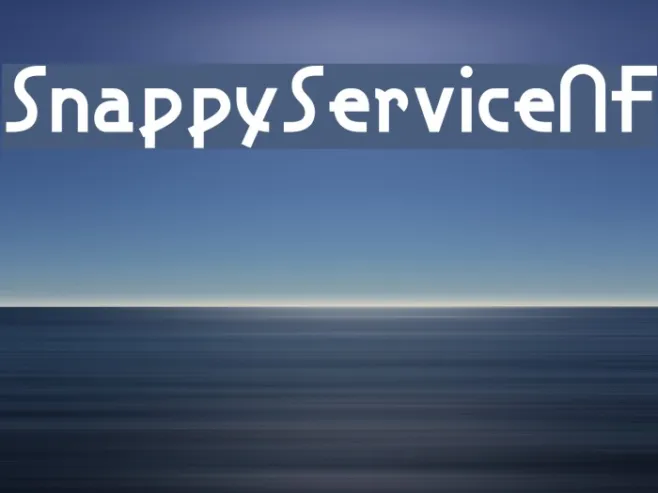 SnappyServiceNF Example 1