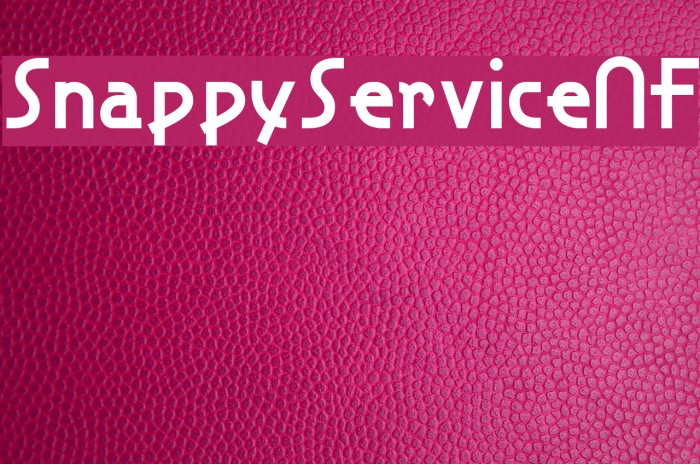 SnappyServiceNF Font examples