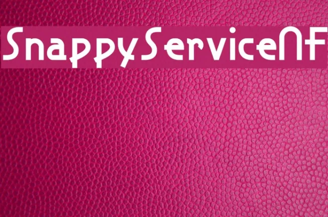 SnappyServiceNF Example 2