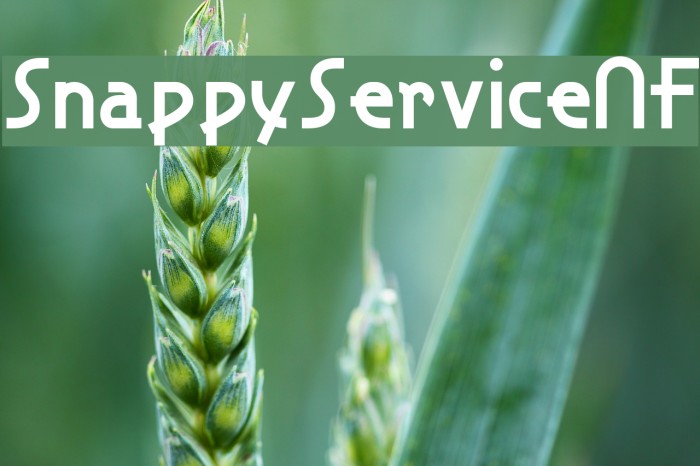 SnappyServiceNF Font examples