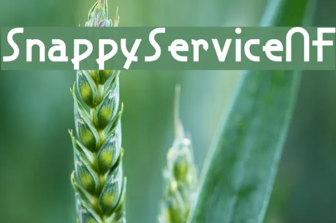 SnappyServiceNF Example 3