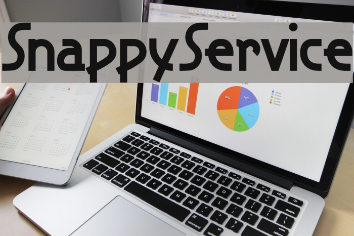 SnappyService Font examples