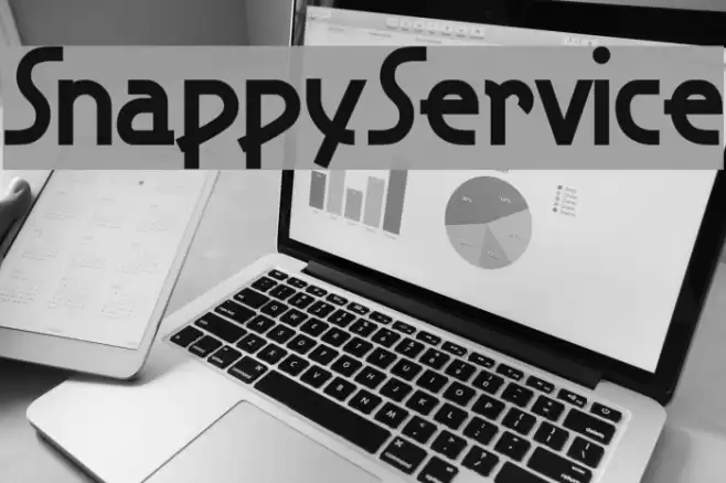 SnappyService Schriftart examples