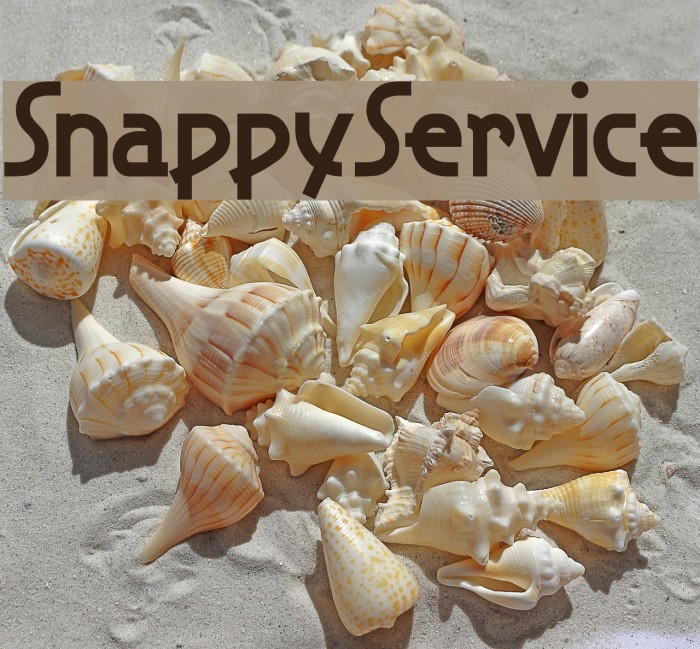 SnappyService Font examples